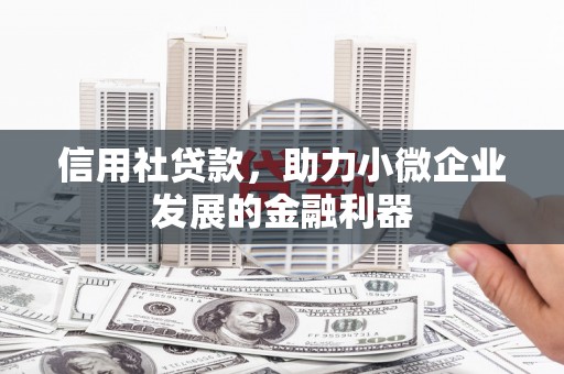 花地玛堂区信用社贷款，助力小微企业发展的金融利器