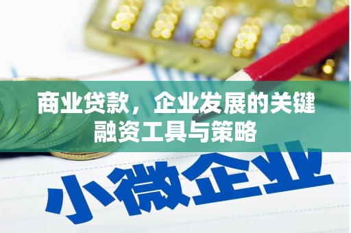 花地玛堂区商业贷款，企业发展的关键融资工具与策略