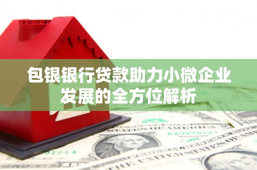 花地玛堂区包银银行贷款助力小微企业发展的全方位解析