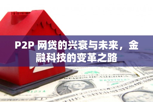 花地玛堂区P2P 网贷的兴衰与未来，金融科技的变革之路