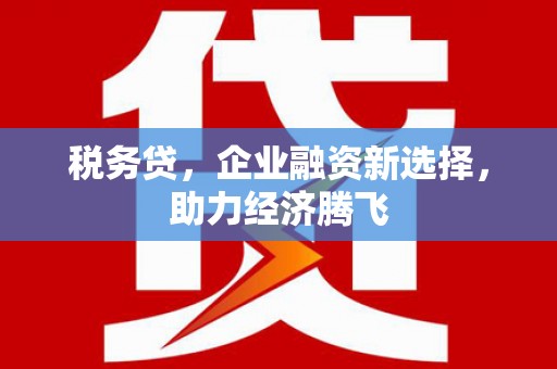 花地玛堂区税务贷，企业融资新选择，助力经济腾飞