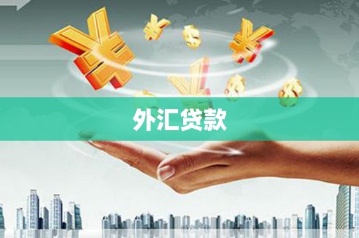 花地玛堂区外汇贷款