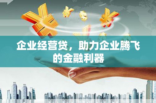 花地玛堂区企业经营贷，助力企业腾飞的金融利器