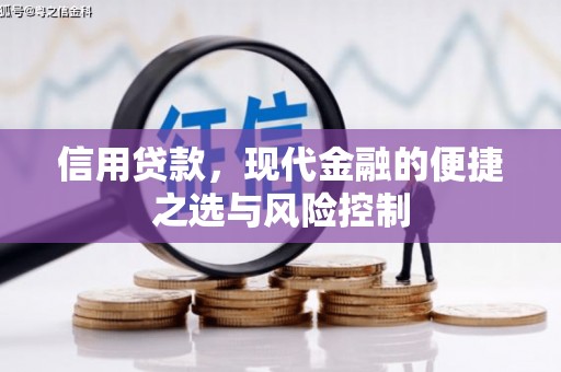 花地玛堂区信用贷款，现代金融的便捷之选与风险控制