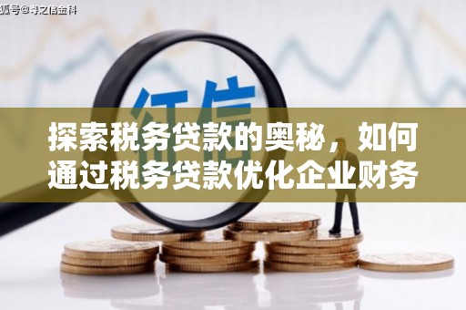 花地玛堂区探索税务贷款的奥秘，如何通过税务贷款优化企业财务