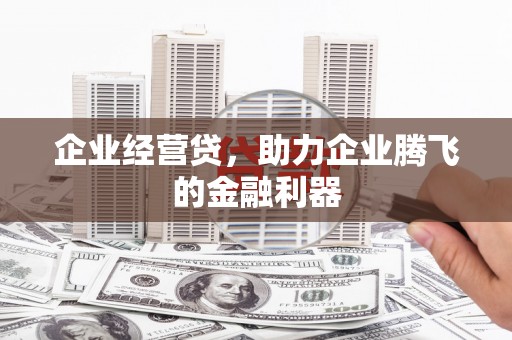 花地玛堂区企业经营贷，助力企业腾飞的金融利器