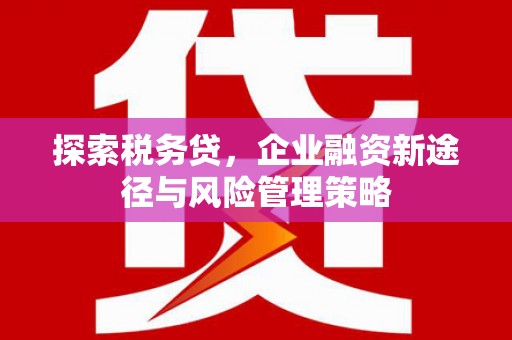花地玛堂区探索税务贷，企业融资新途径与风险管理策略