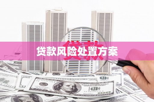 花地玛堂区贷款风险处置方案