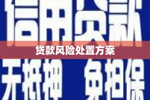 花地玛堂区贷款风险处置方案