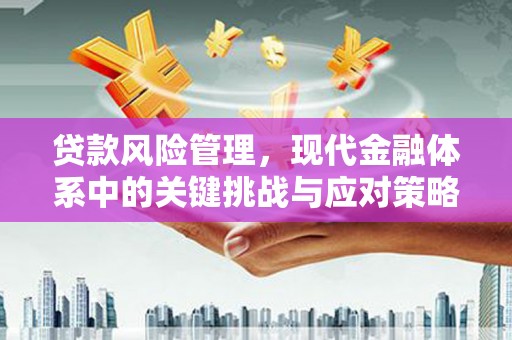 花地玛堂区贷款风险管理，现代金融体系中的关键挑战与应对策略