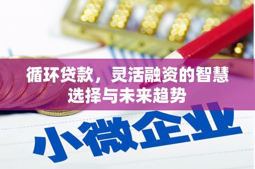 花地玛堂区循环贷款，灵活融资的智慧选择与未来趋势