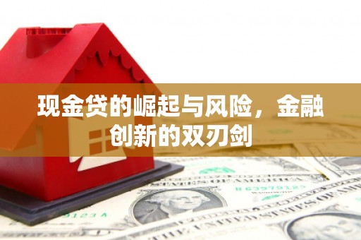 花地玛堂区现金贷的崛起与风险，金融创新的双刃剑