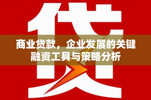 花地玛堂区商业贷款，企业发展的关键融资工具与策略分析