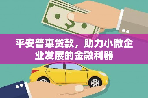 花地玛堂区平安普惠贷款，助力小微企业发展的金融利器