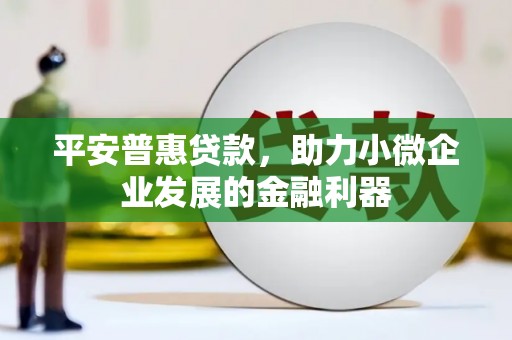 花地玛堂区平安普惠贷款，助力小微企业发展的金融利器