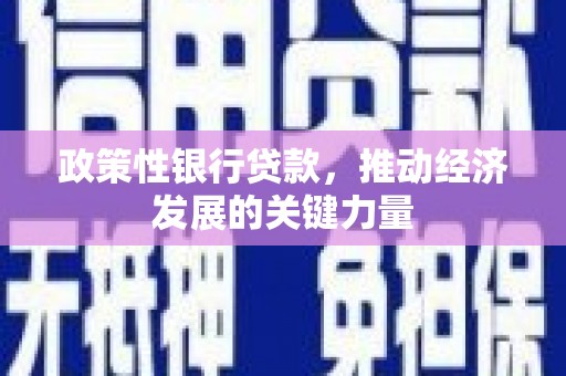 花地玛堂区政策性银行贷款，推动经济发展的关键力量