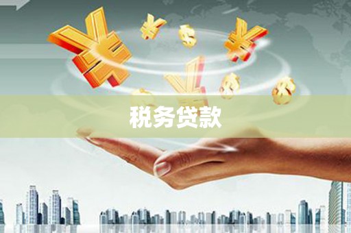 花地玛堂区税务贷款