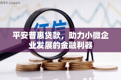 花地玛堂区平安普惠贷款，助力小微企业发展的金融利器