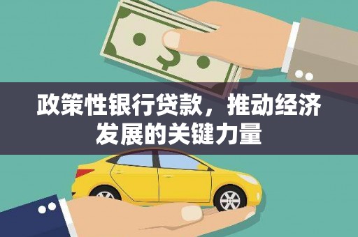 花地玛堂区政策性银行贷款，推动经济发展的关键力量