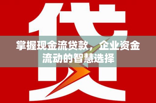 花地玛堂区掌握现金流贷款，企业资金流动的智慧选择
