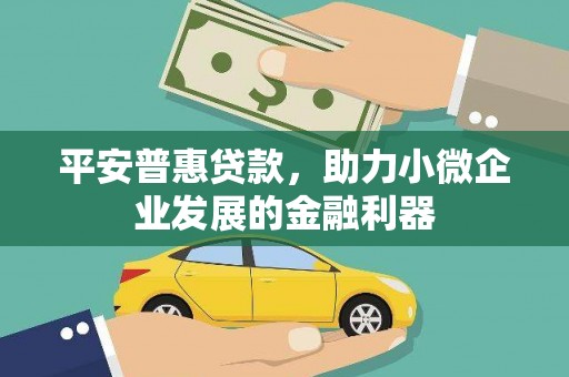 花地玛堂区平安普惠贷款，助力小微企业发展的金融利器