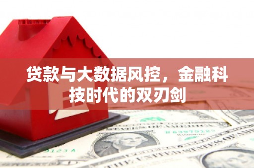 花地玛堂区贷款与大数据风控，金融科技时代的双刃剑