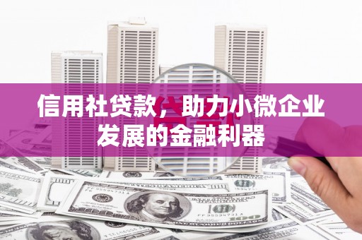 花地玛堂区信用社贷款，助力小微企业发展的金融利器