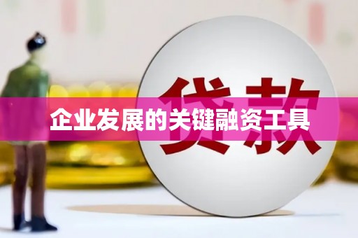 花地玛堂区企业发展的关键融资工具