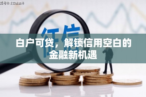 花地玛堂区白户可贷，解锁信用空白的金融新机遇