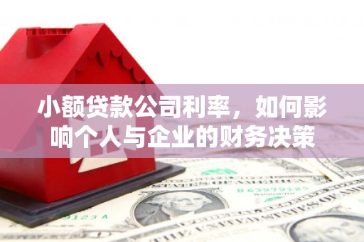 花地玛堂区小额贷款公司利率，如何影响个人与企业的财务决策