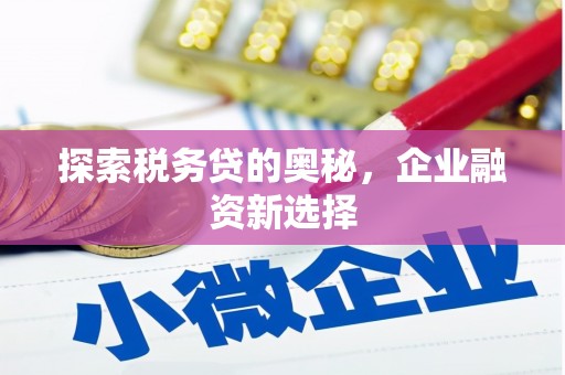 花地玛堂区探索税务贷的奥秘，企业融资新选择