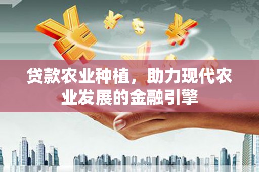 花地玛堂区贷款农业种植，助力现代农业发展的金融引擎