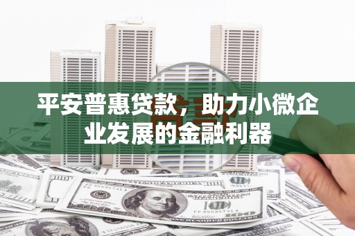 花地玛堂区平安普惠贷款，助力小微企业发展的金融利器