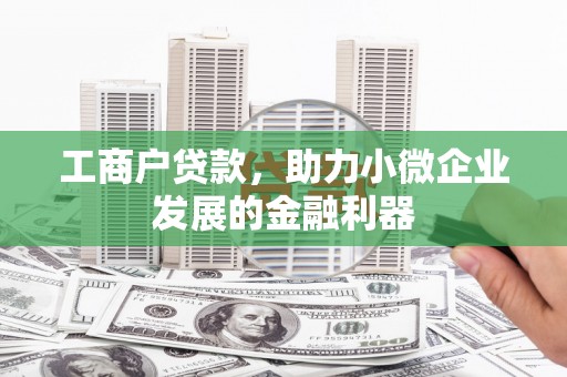 花地玛堂区工商户贷款，助力小微企业发展的金融利器