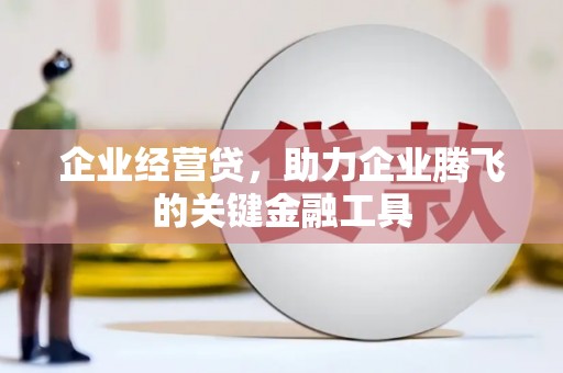 花地玛堂区企业经营贷，助力企业腾飞的关键金融工具