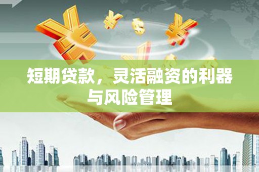 花地玛堂区短期贷款，灵活融资的利器与风险管理