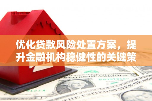 花地玛堂区优化贷款风险处置方案，提升金融机构稳健性的关键策略