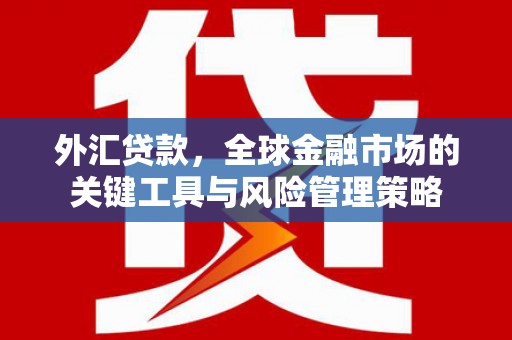 花地玛堂区外汇贷款，全球金融市场的关键工具与风险管理策略