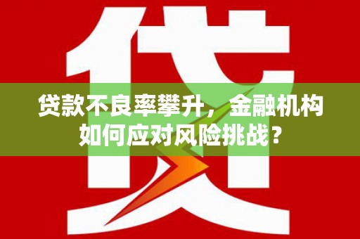 花地玛堂区贷款不良率攀升，金融机构如何应对风险挑战？