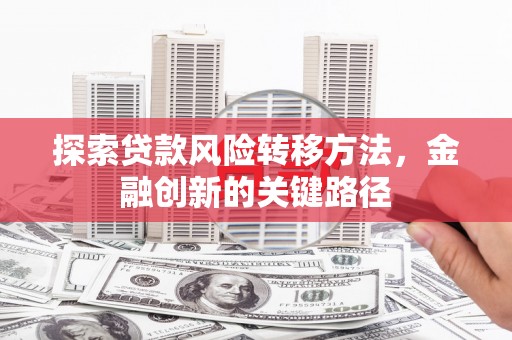 花地玛堂区探索贷款风险转移方法，金融创新的关键路径