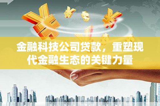 花地玛堂区金融科技公司贷款，重塑现代金融生态的关键力量