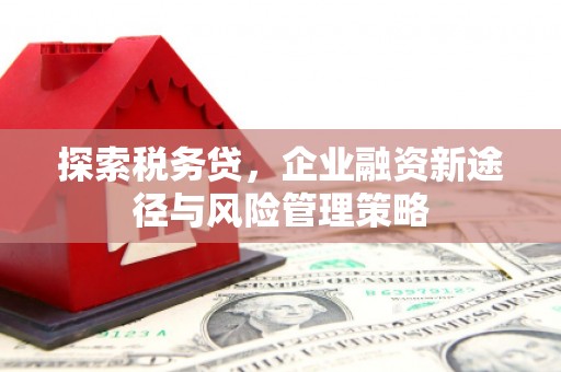 花地玛堂区探索税务贷，企业融资新途径与风险管理策略