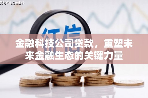 花地玛堂区金融科技公司贷款，重塑未来金融生态的关键力量