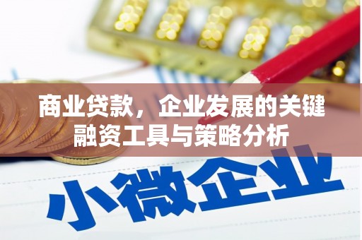 花地玛堂区商业贷款，企业发展的关键融资工具与策略分析