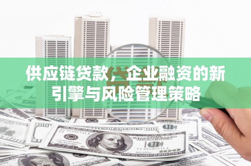 花地玛堂区供应链贷款，企业融资的新引擎与风险管理策略