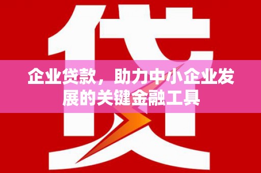 花地玛堂区企业贷款，助力中小企业发展的关键金融工具