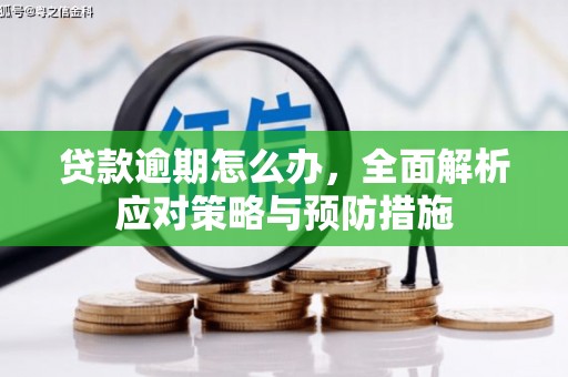 花地玛堂区贷款逾期怎么办，全面解析应对策略与预防措施