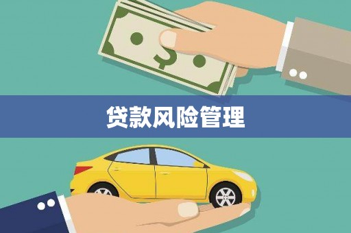 花地玛堂区贷款风险管理