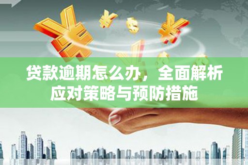 花地玛堂区贷款逾期怎么办，全面解析应对策略与预防措施