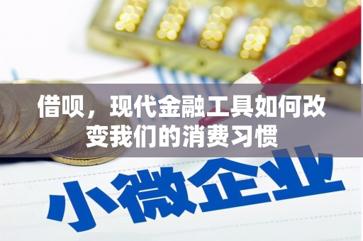 花地玛堂区借呗，现代金融工具如何改变我们的消费习惯